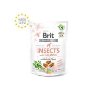  Brit Care Crunchy Cracker Insects with Salmon enriched with Thyme 200 g