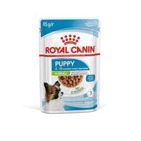 Royal Canin Start of Life X-Small Puppy 12x85g