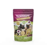 Burgimmune FORTE Prémium Immunerősítő Tabletta 30db