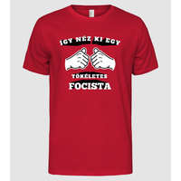 Pólómánia Így néz ki egy tökéletes ____FOCISTA - Férfi Alap póló
