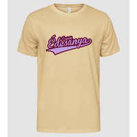 Pólómánia Legjobb Édesanya 2 szín - AN03 - Férfi Alap póló