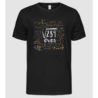 Pólómánia gyök 289 éves vagyok 17. születésnap - Férfi Alap póló