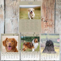 Egyedi fényképes kutyás naptár