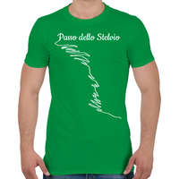 printfashion Passo dello Stelvio - Férfi póló - Zöld