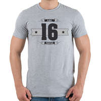 printfashion b-day-16-dark-lightgrey - Férfi póló - Sport szürke
