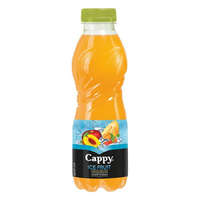 CAPPY Üdítőital szénsavmentes CAPPY Ice Fruit Őszibarack-Sárgadinnye 12%-os 0,5L