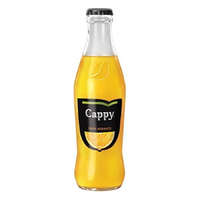 CAPPY Gyümölcslé CAPPY Narancs 100% üveges 0,25L