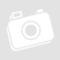 Philips Philips R6L4B/10 AA CINK-SZÉN LongLife elem