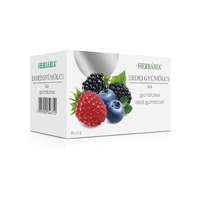 Herbária filteres gyümölcstea 20x2 g (Erdei gyümölcs)