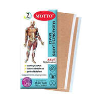 MOTTO Fájdalomcsillapító tapasz (Kék) 2 db