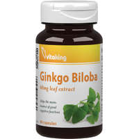 Vitaking Ginkgo Biloba 60 mg 90 db
