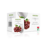 Herbária filteres gyümölcstea 20x2 g (Vadmeggy)