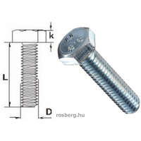  Hatlapfejű TM. csavar M 4 x30 HORG / 500 DB 8,8