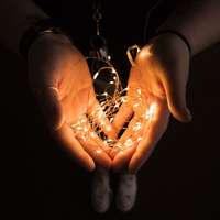 Family LED fényfüzér - 10 db melegfehér LED - 2 x AA - 58043B