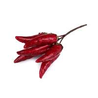 Mű chili paprika dróton
