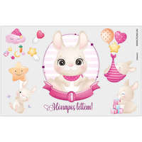 Zsona Dekor Vasalható 1 hónapos lettem-kislány minta