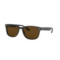 Ray-Ban Ray-Ban RB2184 902