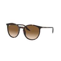 Ray-Ban Ray-Ban RB2204 902/51
