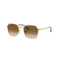 Ray-Ban Ray-Ban RB3694 001/51