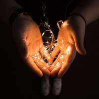 Family 1 m melegfehér fényfüzér