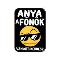 Fa hűtőmágnes, Anya a főnök, van még kérdés?