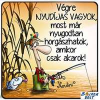 Hűtőmágnes, Végre nyugdíjas vagyok