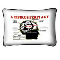 Díszpárna, A tipikus férfi agy