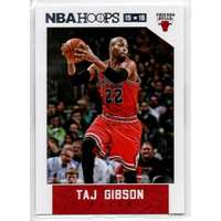 Panini 2015-16 Hoops #10 Taj Gibson