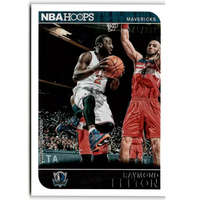 Panini 2014-15 Hoops Silver #131 Raymond Felton */399