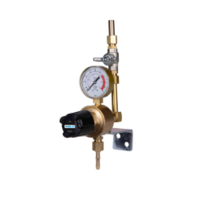 Iweld Iweld Dynaline nyomáscsökkentő készlet, Ar/Co2, 21l/min (5DNLARCO21SET)
