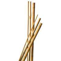NATURE Nature bambusz virágtámasz 120cm, 10-12mm, natúr, 5 db/csomag (6040202)