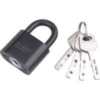Extol Extol Premium lakat, vas, 4db kulccsal, 40 mm (8857414)