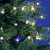 Home Home mikro LED-es fényfüzér köteg, hidegfehér (ML 250G/WH)