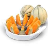 Perfect Home Perfect Home Dinnyeszeletelő (12360)