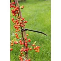 NATURE Nature gyorskötöző rögzítő műanyag, 15cm, 25db/csomag (6040425)