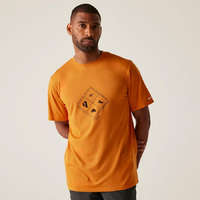 Regatta Regatta Fingal Stretch Férfi gyorsan száradó póló narancs