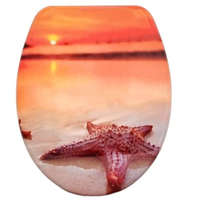 Panitalia Lecsapódásgátlós duroplast WC ülőke tengeri csillag mintás, rozsdamentes fémzsanérral
