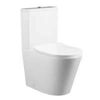 Homedepo Lisa White perem nélküli mély öblítésű íves monoblokkos WC alsó/hátsó kifolyású, tartállyal, tető nélkül
