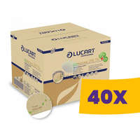 Lucart Professional Lucart EcoNatural 216 TN környezetbarát hajtogatott szalvéta 150 lapos (Karton - 40 csomag)