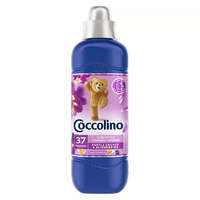 Unilever Coccolino Purple Orchid&Bluberries textilöblítő koncentrátum 925ml
