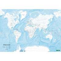 Freytag &amp; Berndt Világ országai falitérkép Freytag színező világtérkép, 1:40 000 000 100x70 cm világ országai vaktérkép