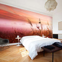 Artgeist Fotótapéta - Reggel rét