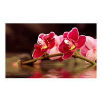 Artgeist Fotótapéta - Gyönyörű orchidea virágok a víz