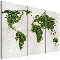 Artgeist Kép - Zöld föld a pillangók - triptych