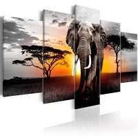 Artgeist Kép - Elephant at Sunset 100x50
