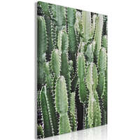 Artgeist Kép - Cactus Garden (1 Part) Vertical 40x60