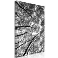 Artgeist Kép - High Trees (1 Part) Vertical 40x60