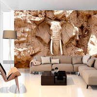 Artgeist Fotótapéta - Stone Elephant (South Africa) 100x70