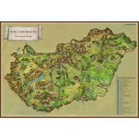 Stiefel Magyarország térkép, Magyarország látványtérkép kis fémléces, fóliás / Balaton térkép 2 oldalas 66x45 cm