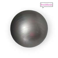 YWU Fitness labda 55 cm